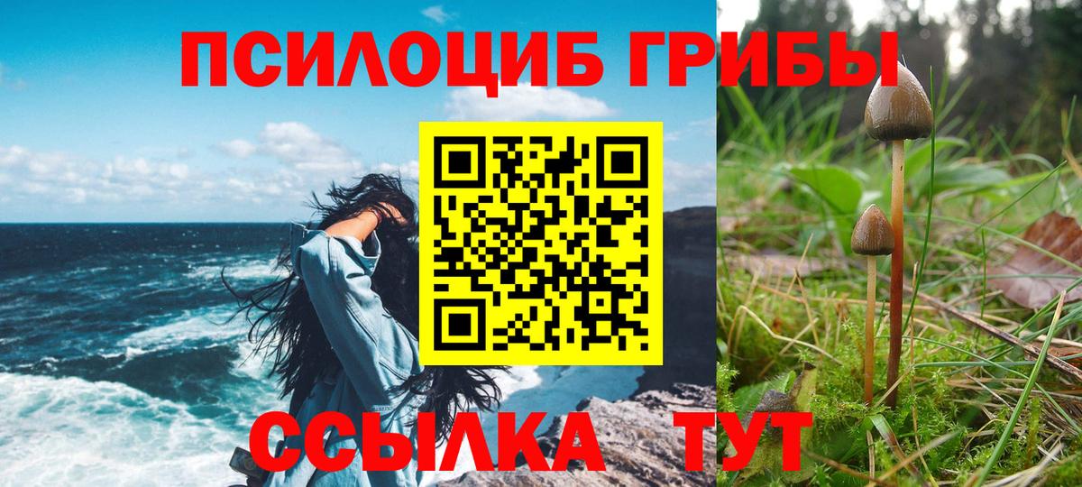 Псилоцибиновые грибы Psilocybe  Псилоцибиновые грибы ЛСД  Вход с VPN  Мирный 